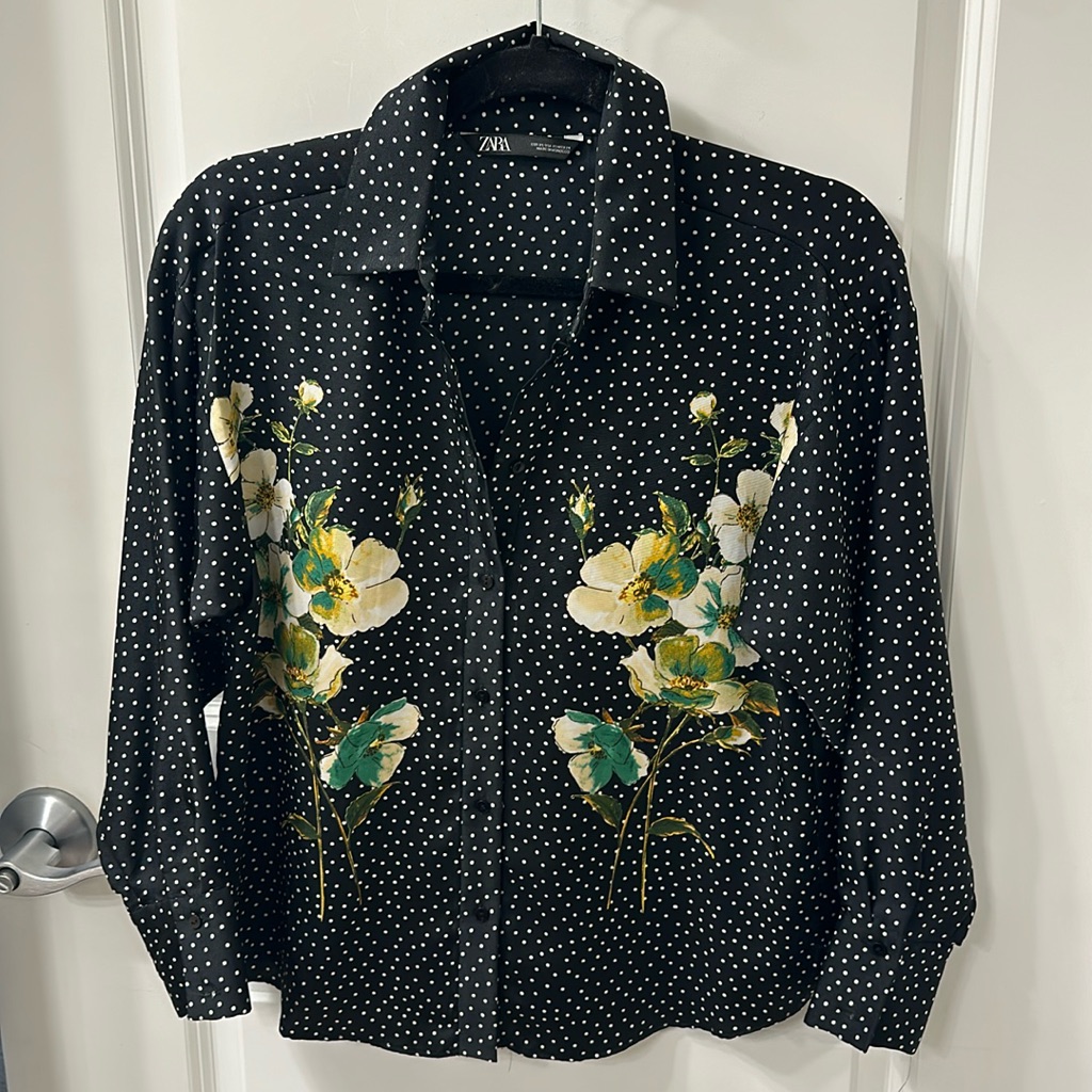 Zara Button Down Blouse